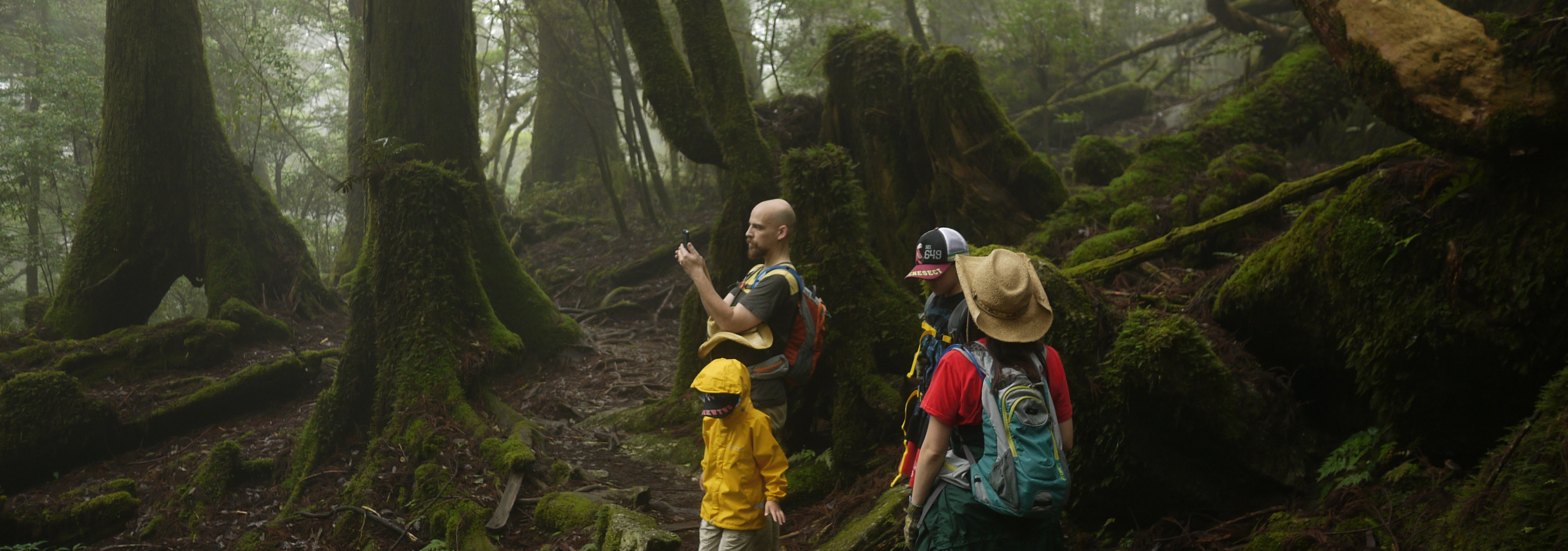ヤクスギランド