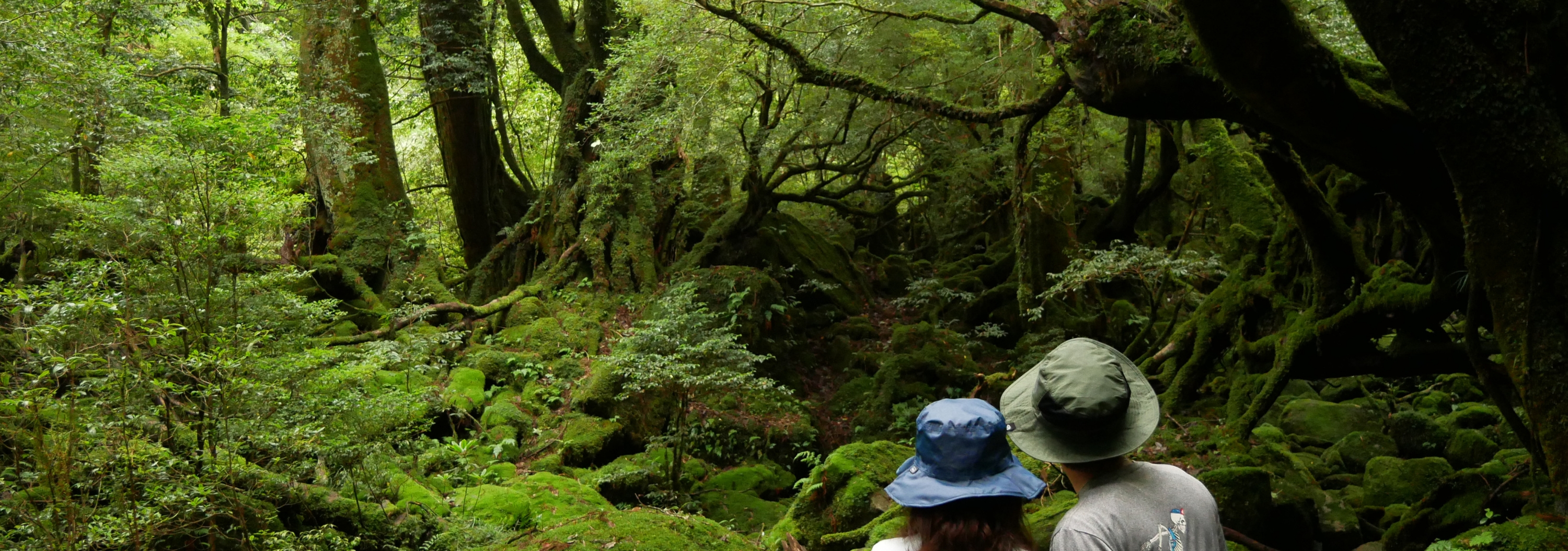 ���J�_��������