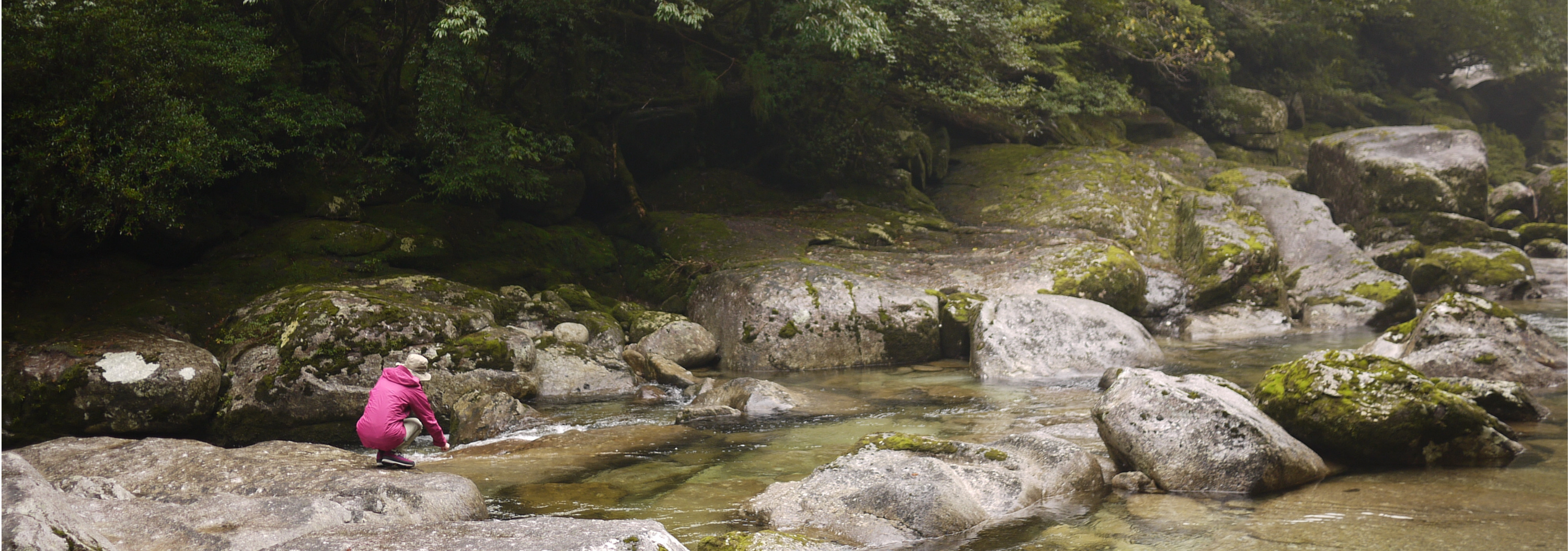 ���N�X�M�����h����