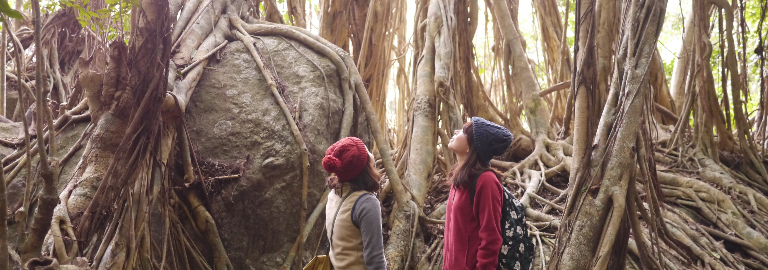 �����ѓ�����