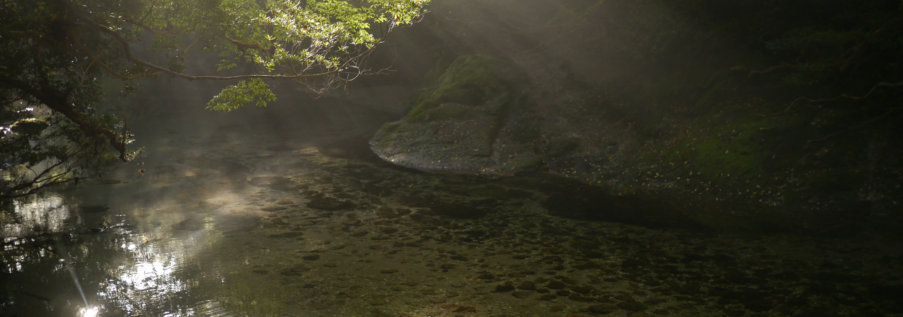 �悭���鎿��