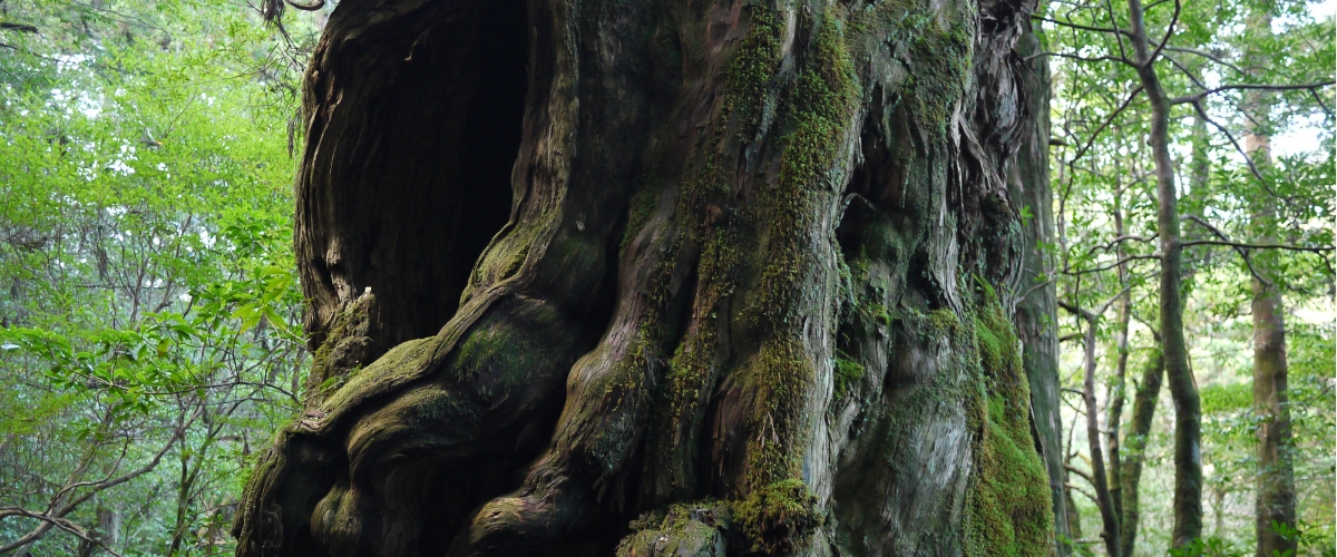 ���x����